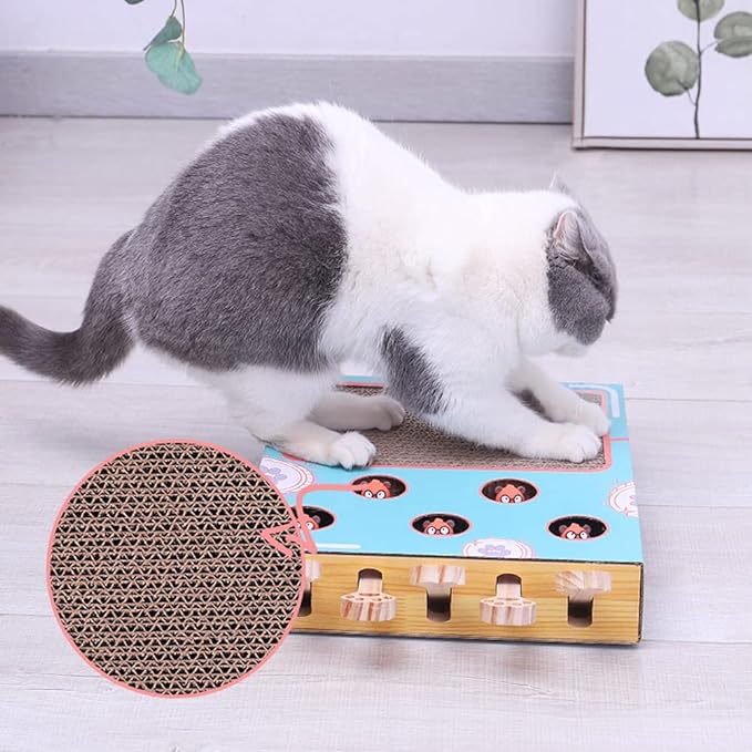 Benny Interaktives Katzenspielzeug