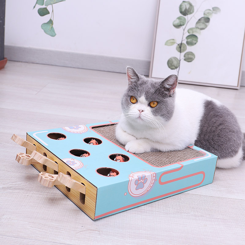 Benny Interaktives Katzenspielzeug