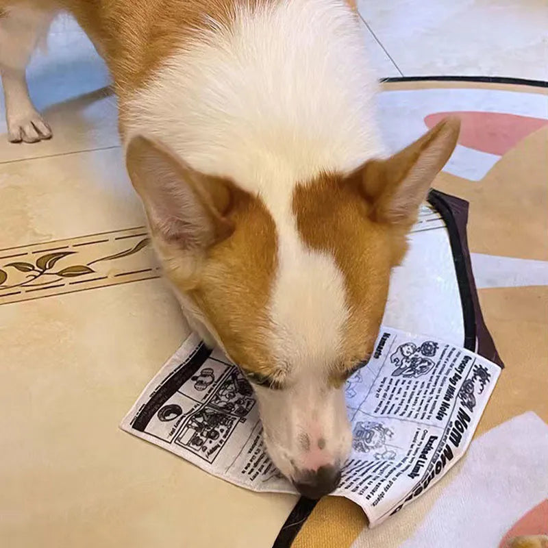 Bente Kauspielzeug fur Hunde