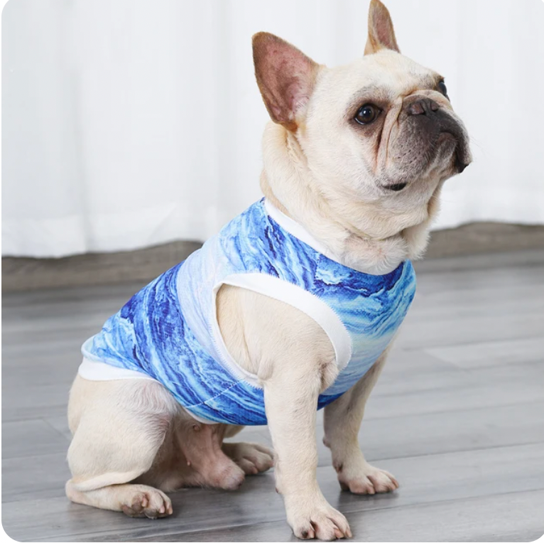 Frosty | Hundekühlweste mit Verdunstungskühlung für heiße Sommertage