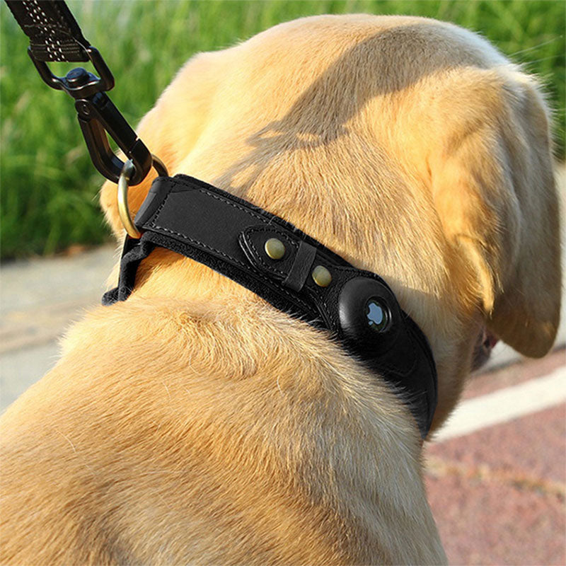 Bobby Airtag Halsband fur Hunde