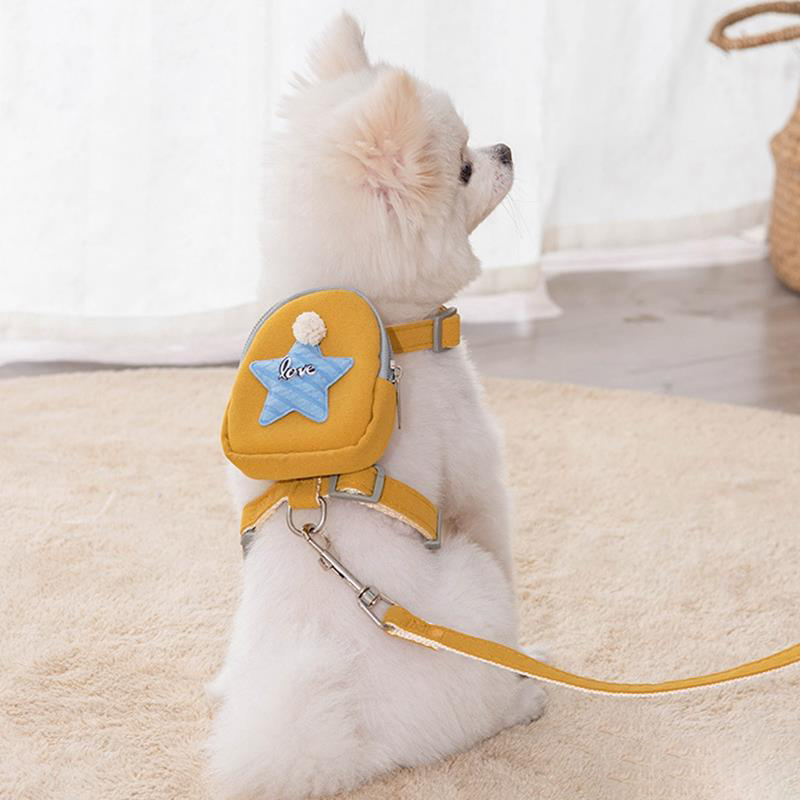 Charlie Hundeleine mit Tasche