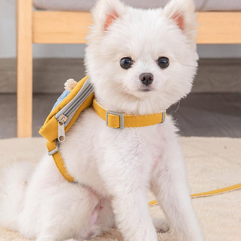 Charlie Hundeleine mit Tasche