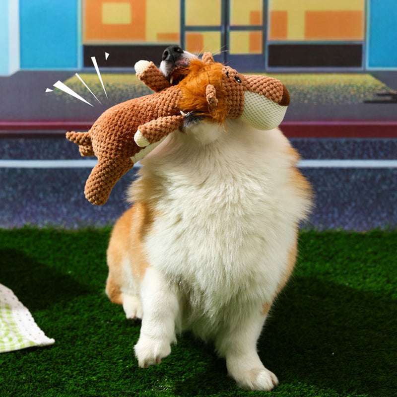Chewy Interaktives Spielzeug fur Hunde