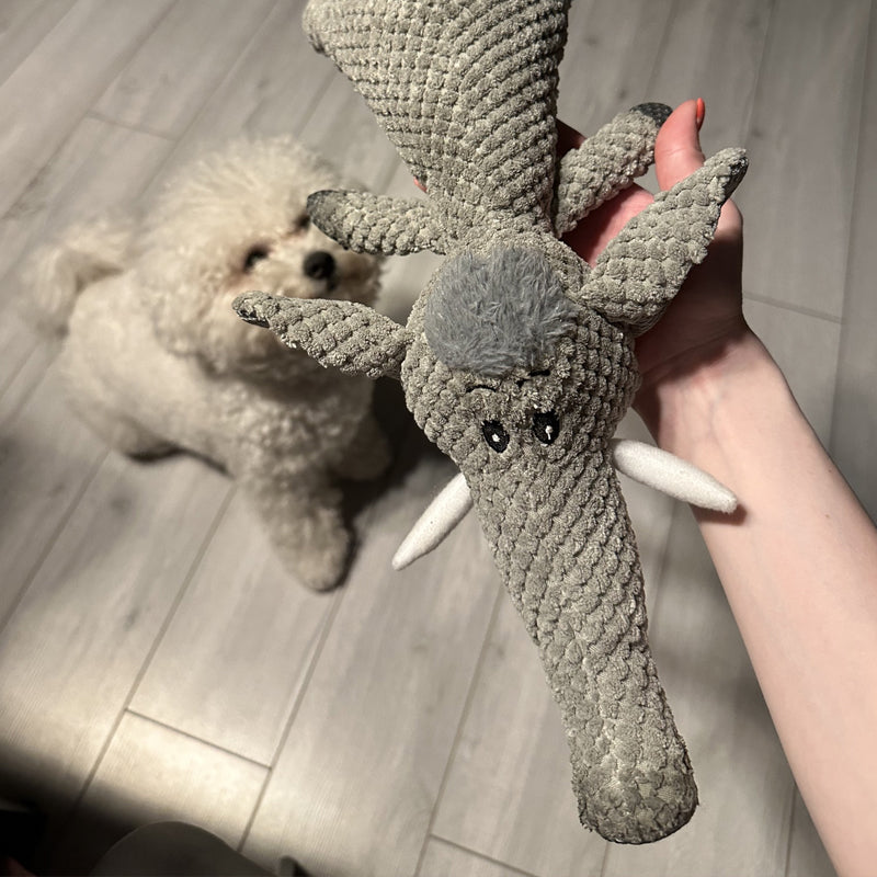 Chewy Interaktives Spielzeug fur Hunde