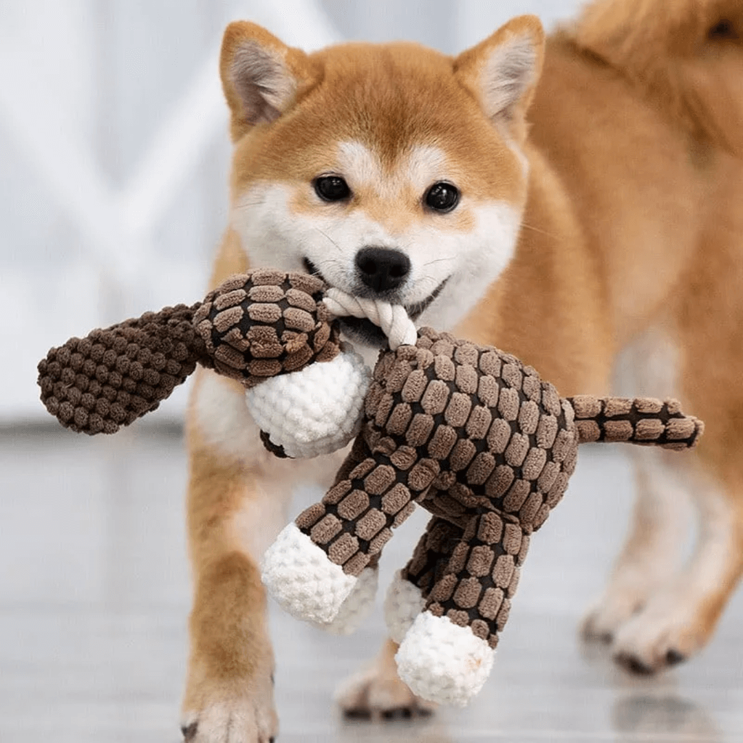 Cooper Robustes Hundespielzeug