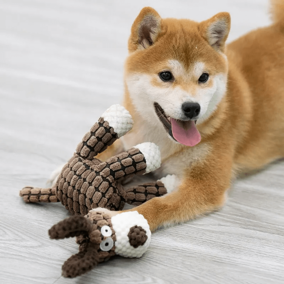 Cooper Robustes Hundespielzeug