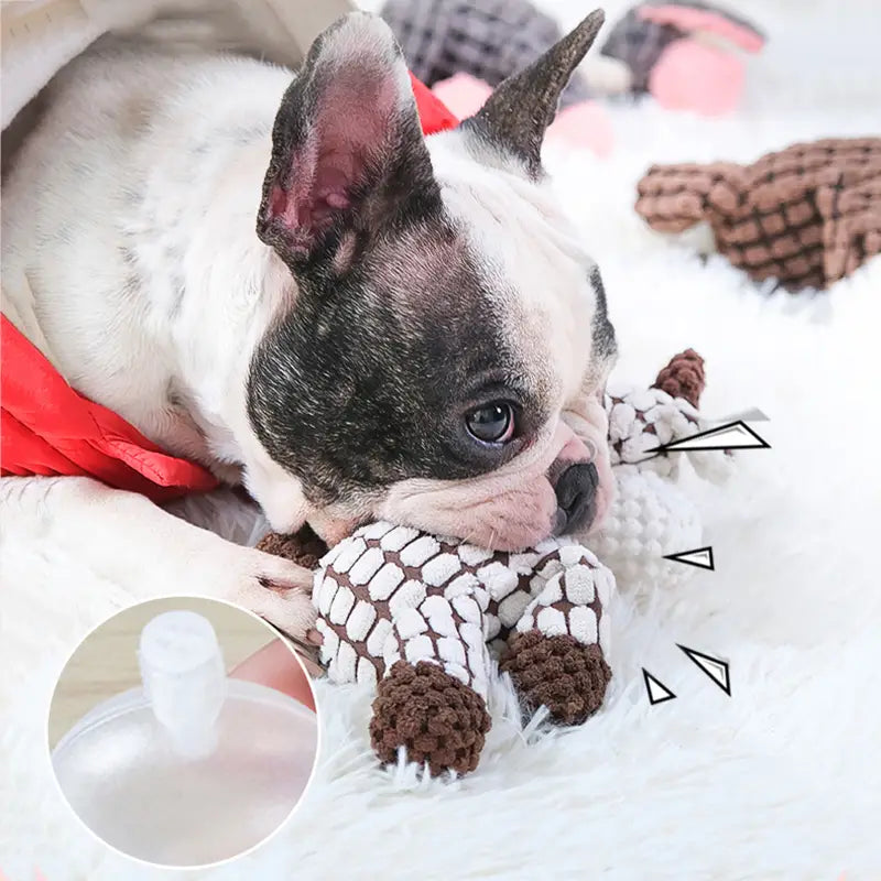 Cooper Robustes Hundespielzeug