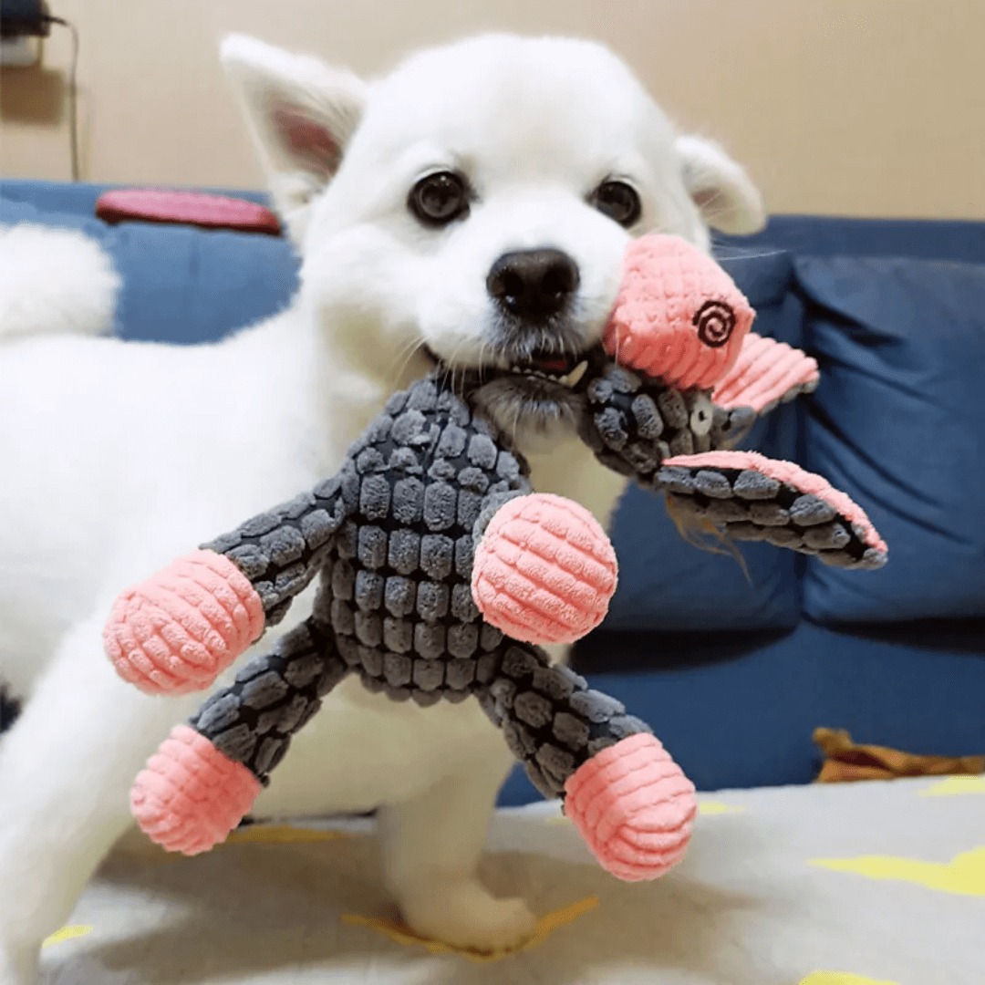 Cooper Robustes Hundespielzeug
