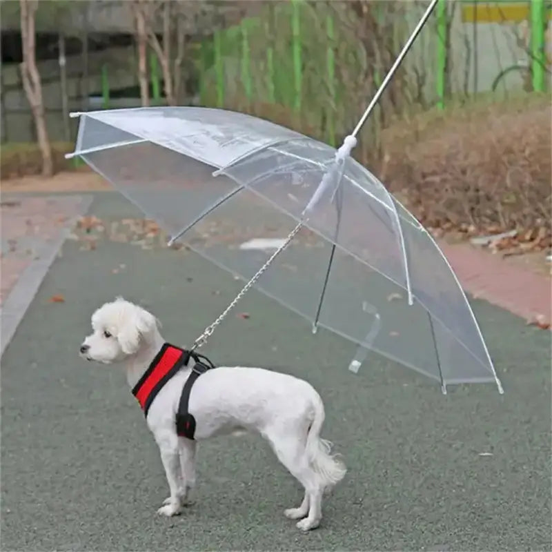 Daisy Hunde Regenschirm