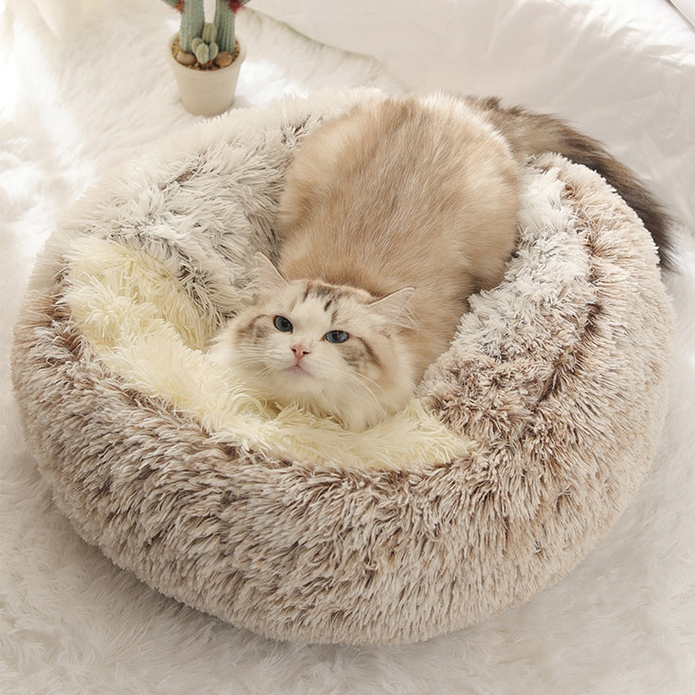 Vera Hundebett und Katzenbett