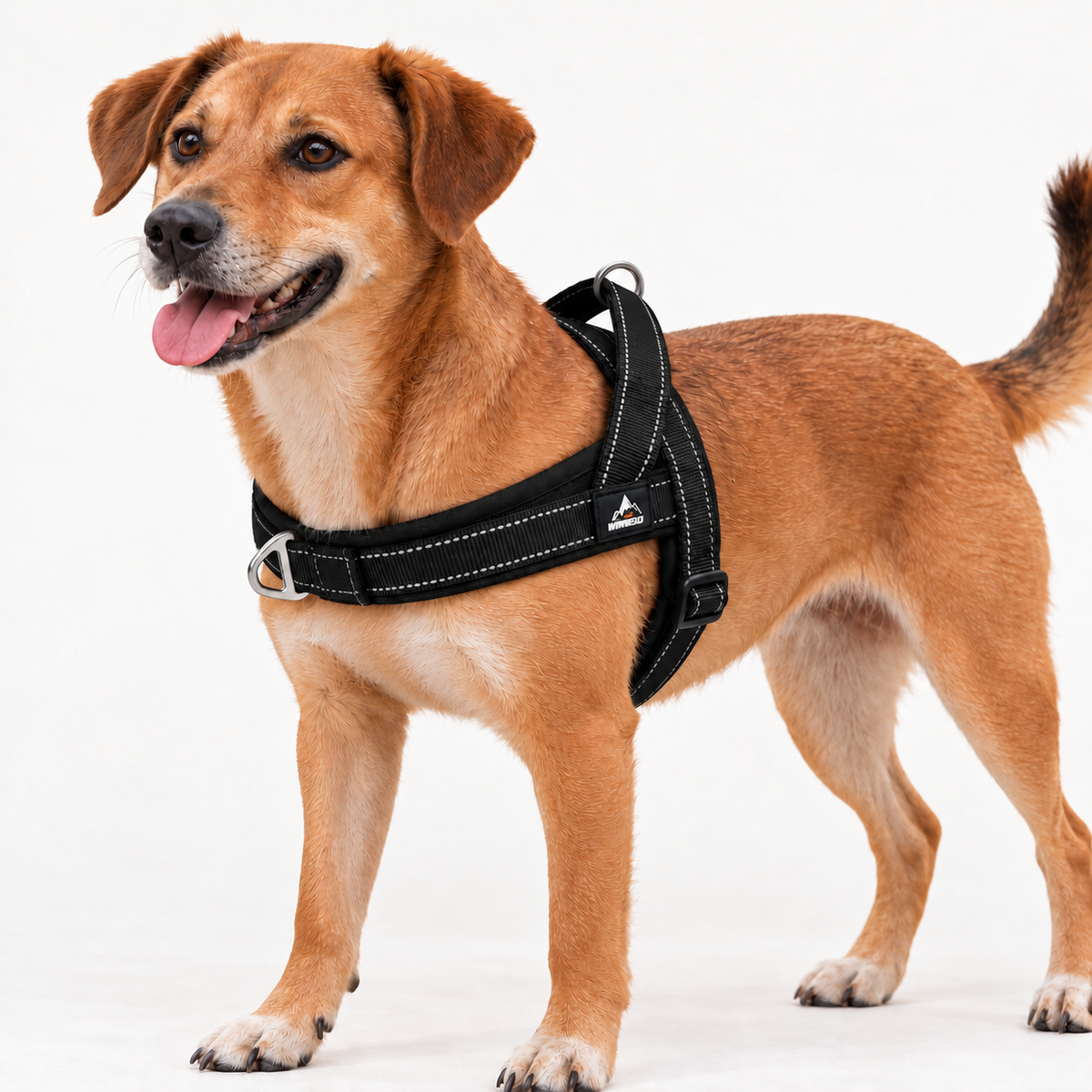 Horst | Reflektierendes No Pull Hundegeschirr