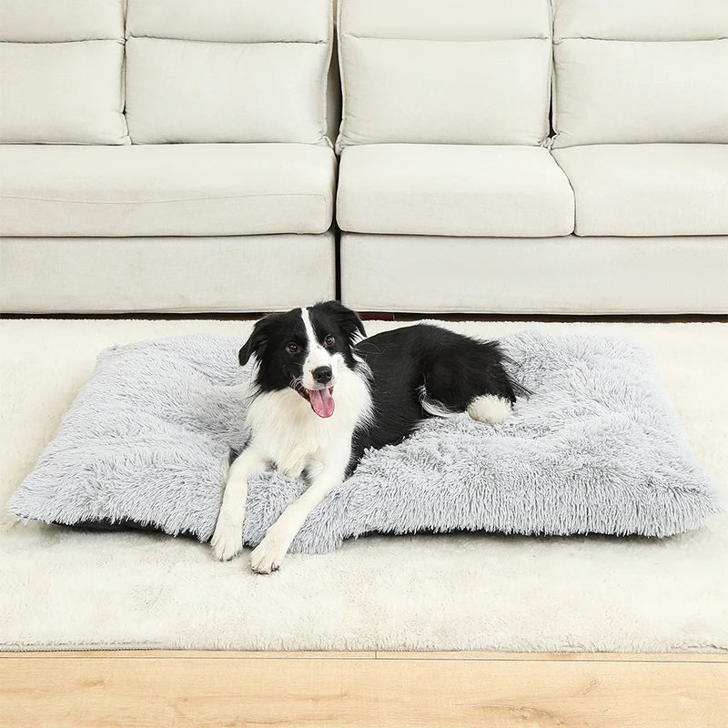 Hundebett aus Plüsch mit Anti Rutsch Unterseite und faltbarem Design | Pawzora