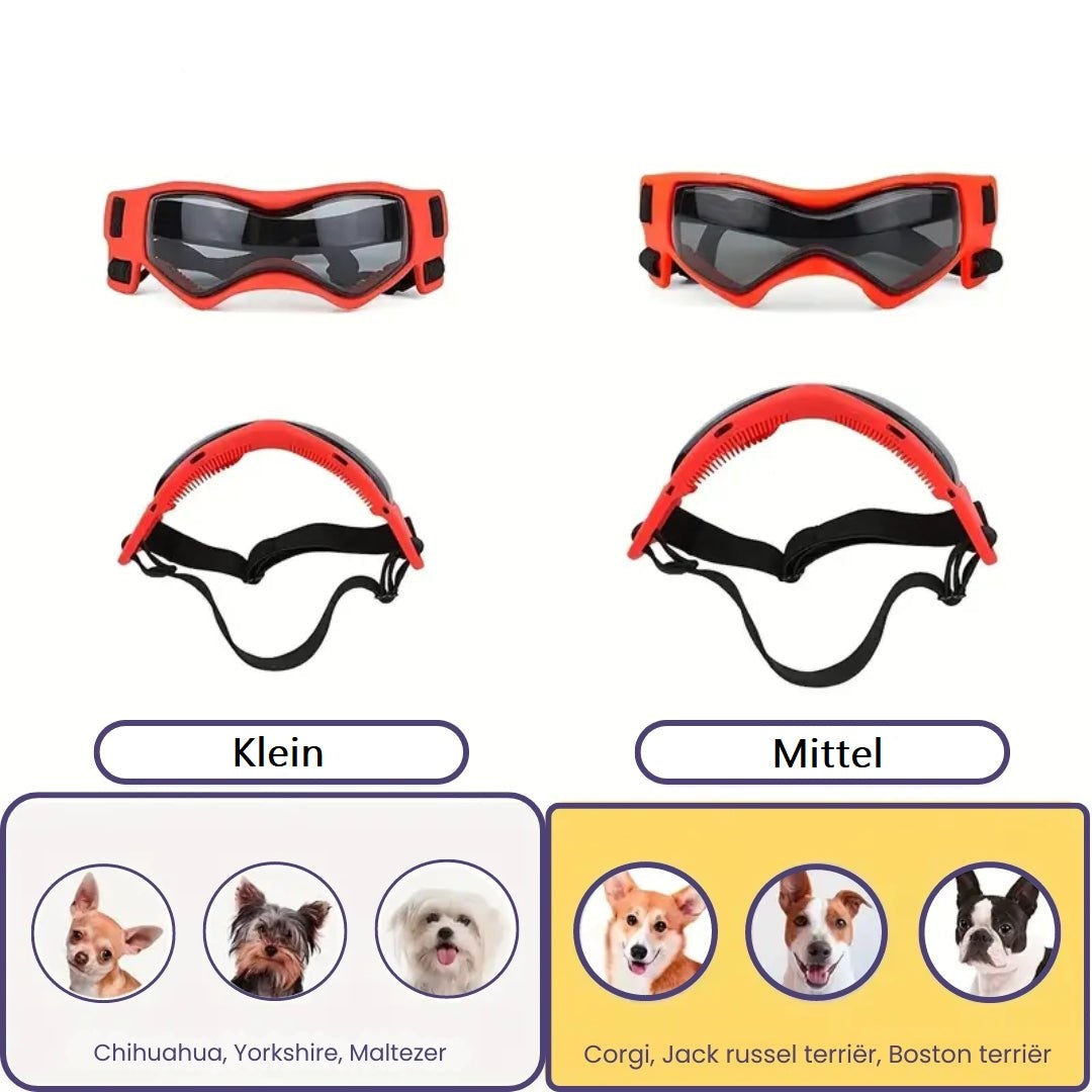 Jack | Hundebrille gegen Schmutz