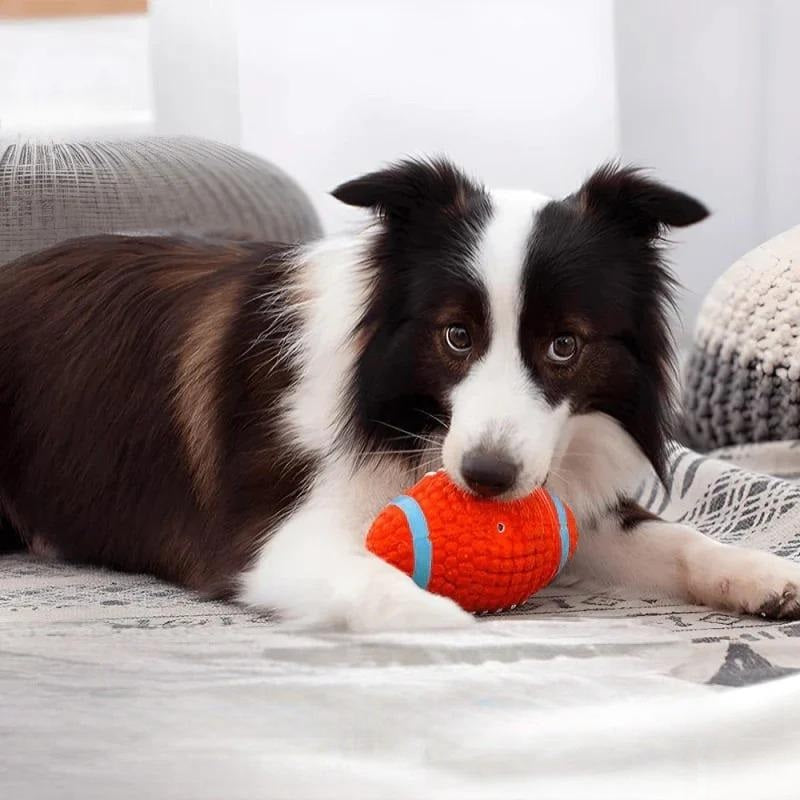 Jasper | Kauball zur Stressreduzierung bei Hunden