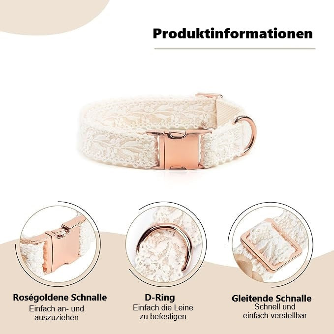 Elsa | Luxe Halsband mit kostenlosem Geschirr (im Wert von 14,95 €)