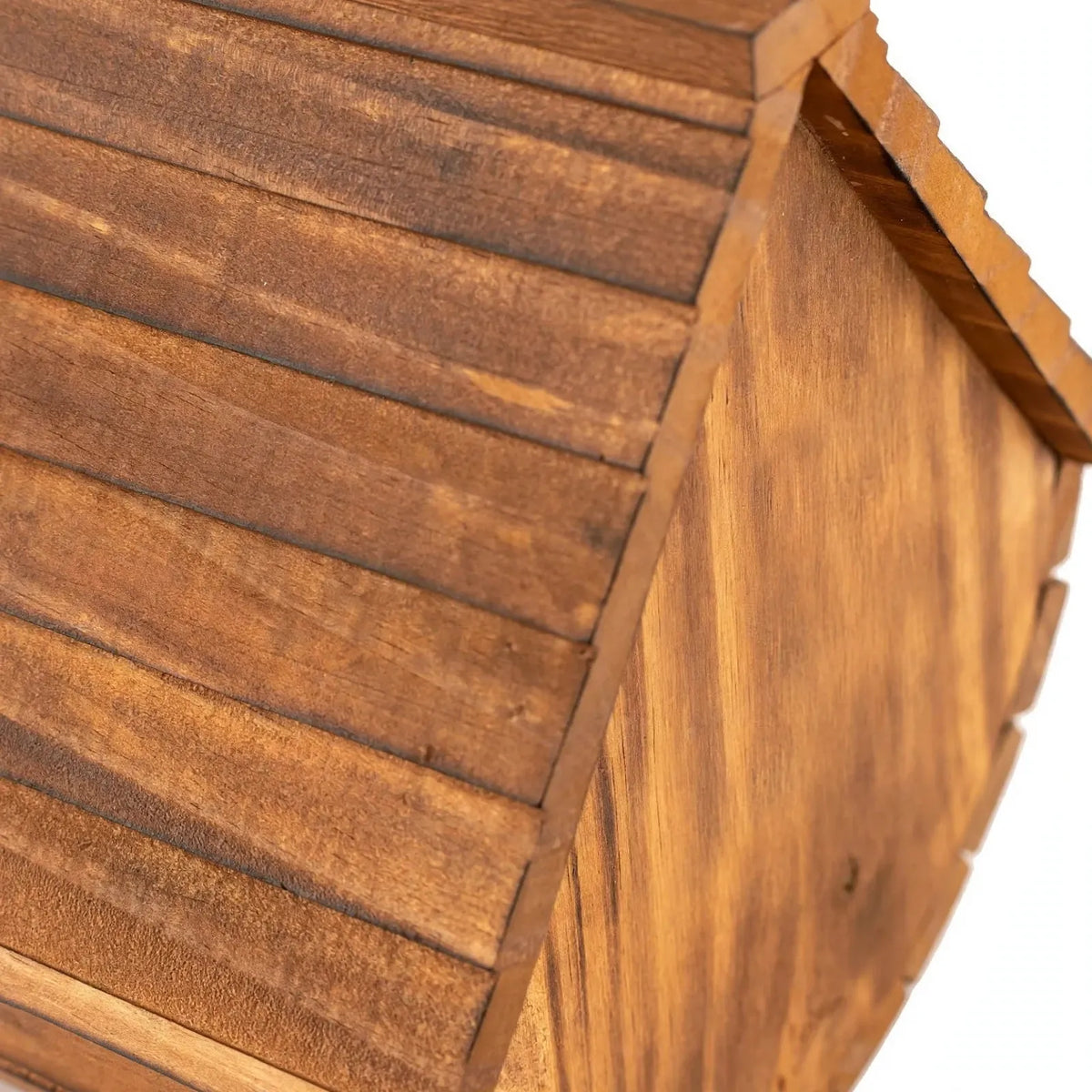 Kompaktes Vogelhaus Mit Kleiner Sitzstange
