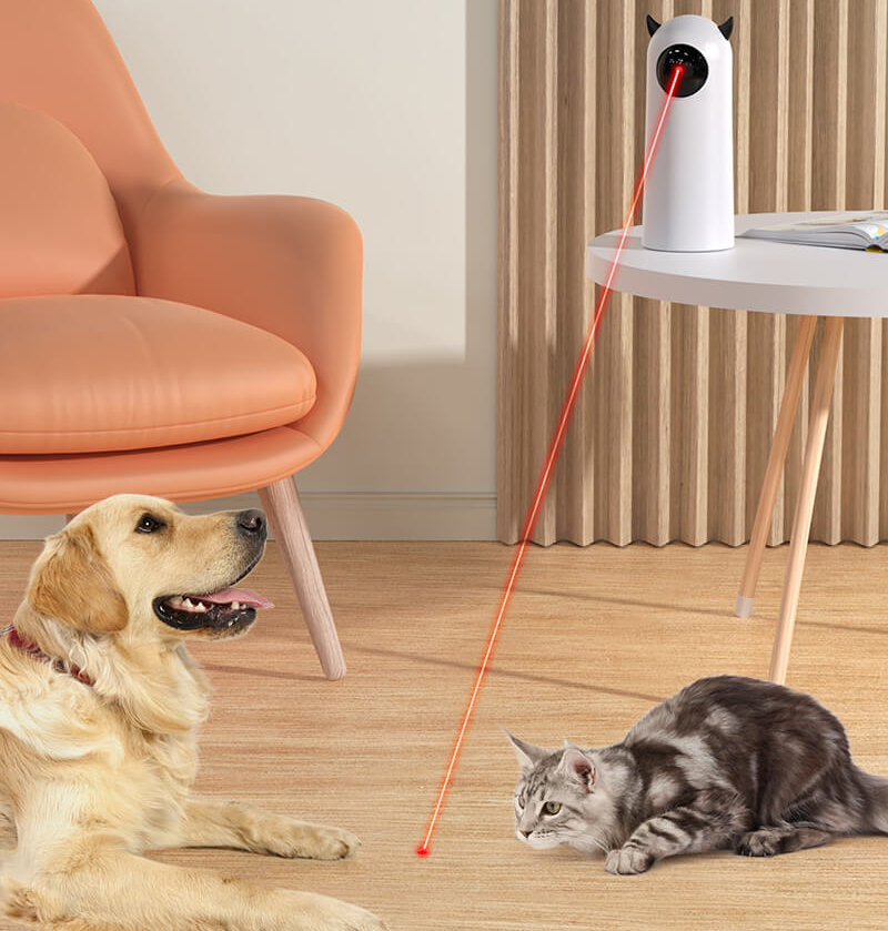 Liesel Laser Spielzeug fur Katzen