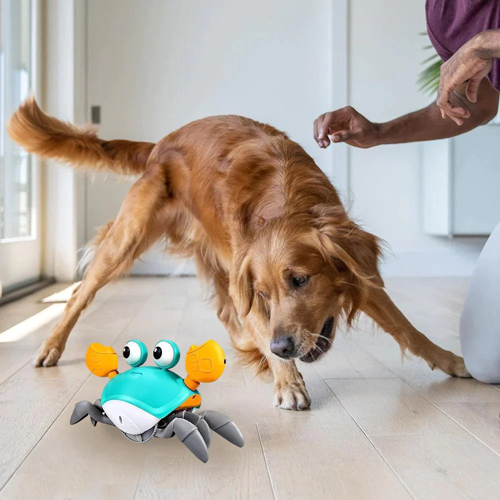 Rex | Interaktives Krabben-Hundespielzeug