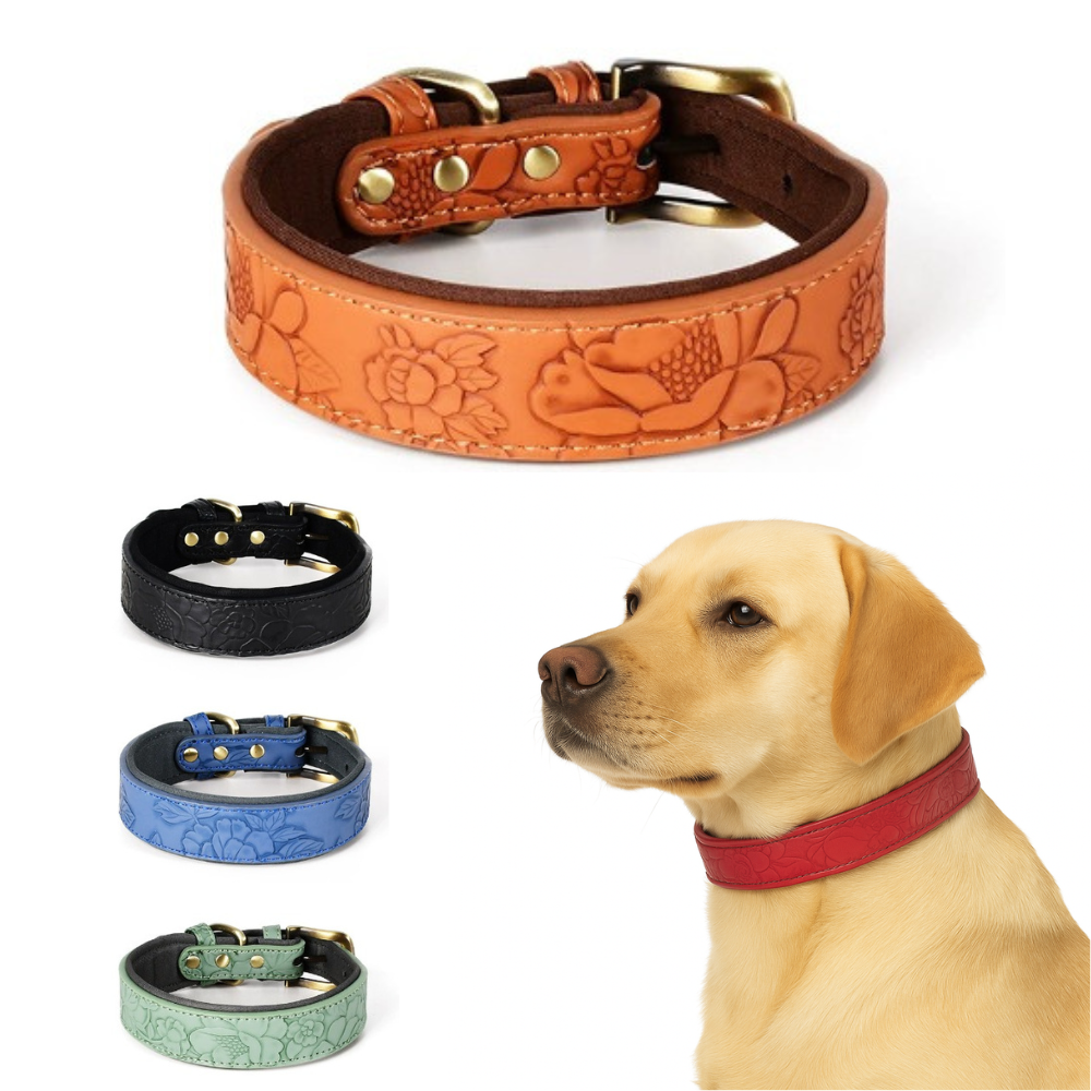 Lothar | Strapazierfähiges Leder Hundehalsband