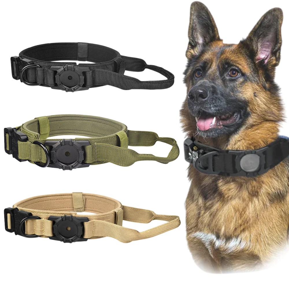 Stefanus | AirTag Hundehalsband mit Griff