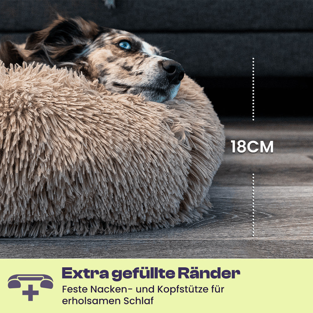 Lambert Komfort Schlafbett Hunde