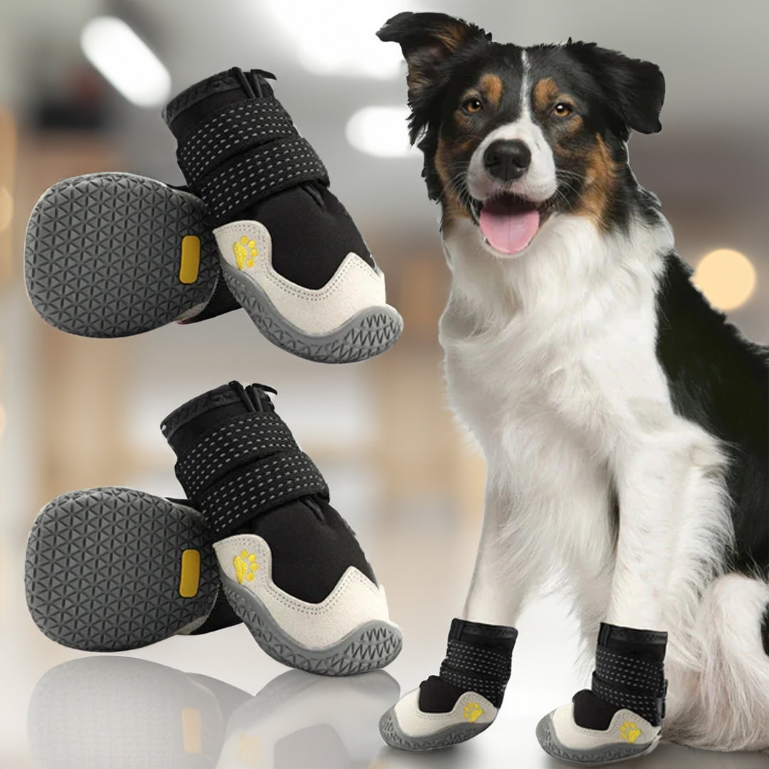 Holly Wasserdichte schützende Hundeschuhe