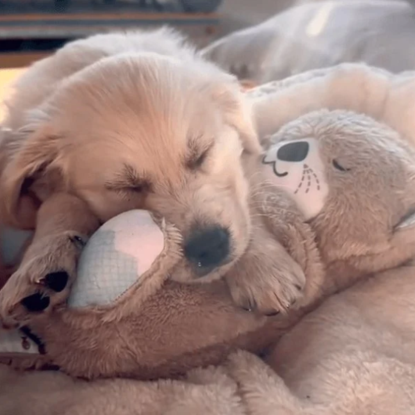 Realistisches Kuscheltier mit Atmung für Hunde Max