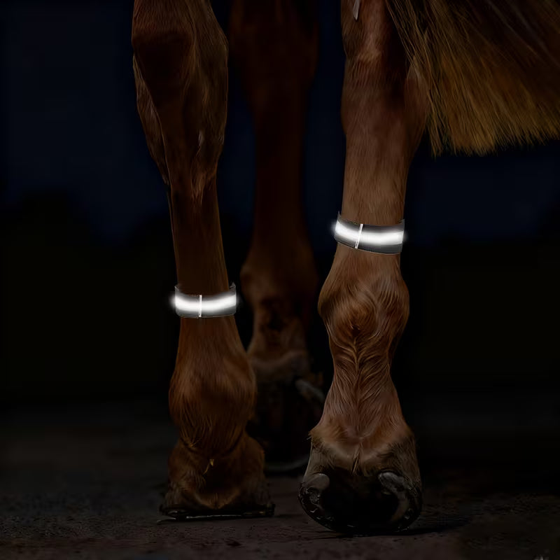 Reflektierende Pferde Beinbänder für Nachtreiten | Velaro