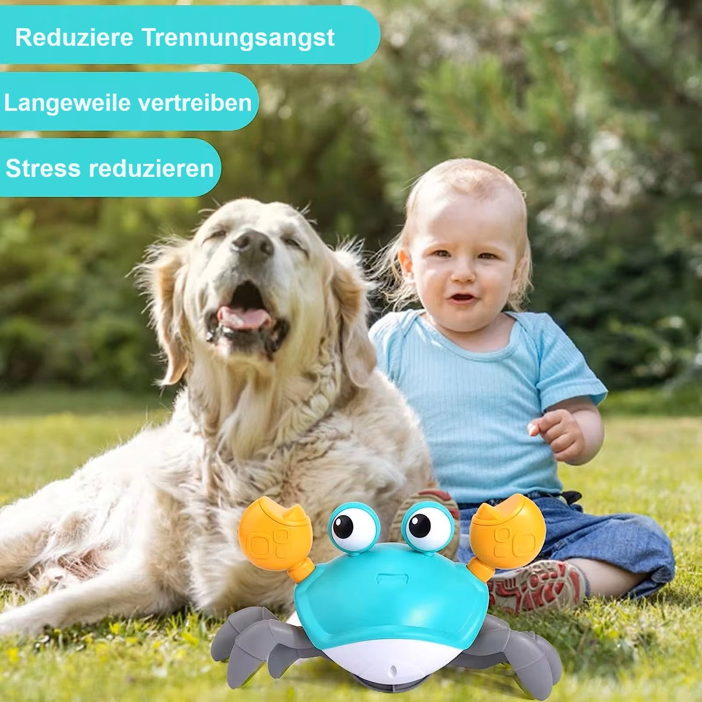 Rex | Interaktives Krabben-Hundespielzeug