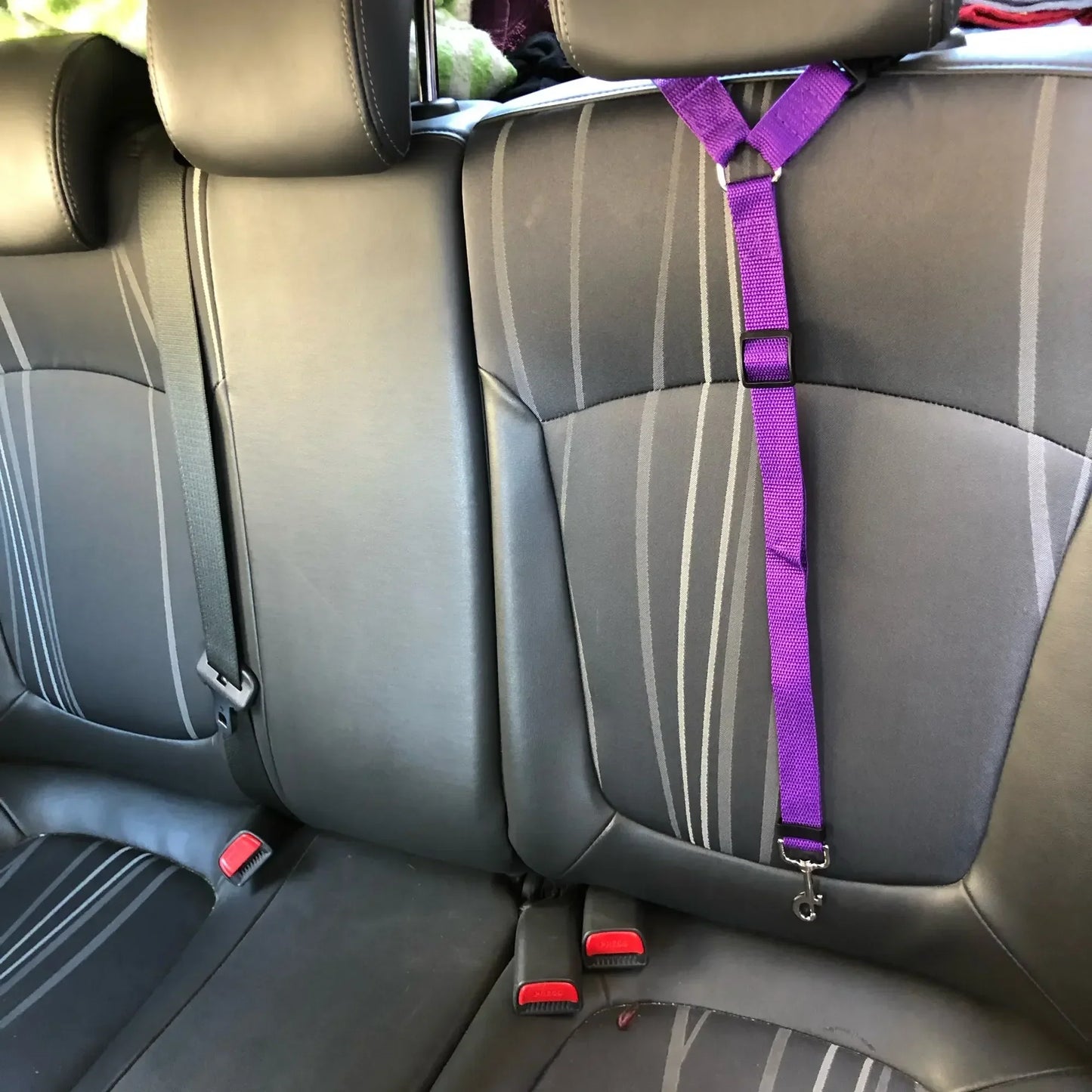 Gerrit Nylon Hunde Sicherheitsgurt Verstellbar