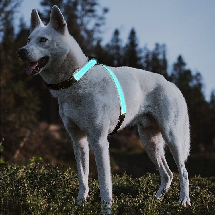 Lasse USB-Aufladbares LED-Hundegeschirr
