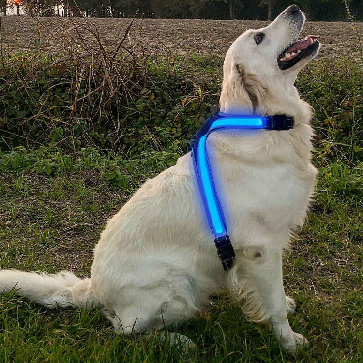 Lasse USB-Aufladbares LED-Hundegeschirr