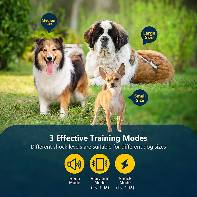 Levin Hundehalsband mit Fernbedienung