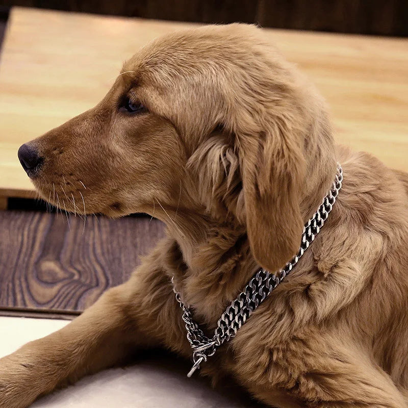 Patrick Bequemes Hundehalsband aus Metall
