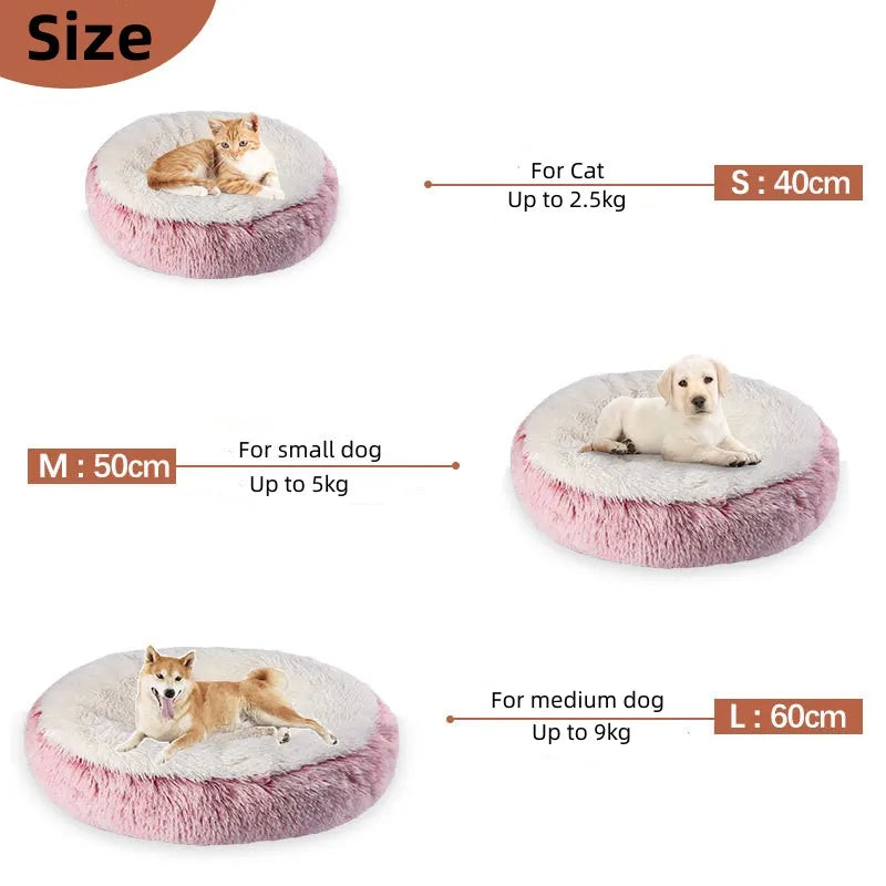 Solara Donut-Katzenbett
