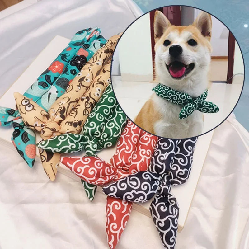 Christoph Bandana Hund