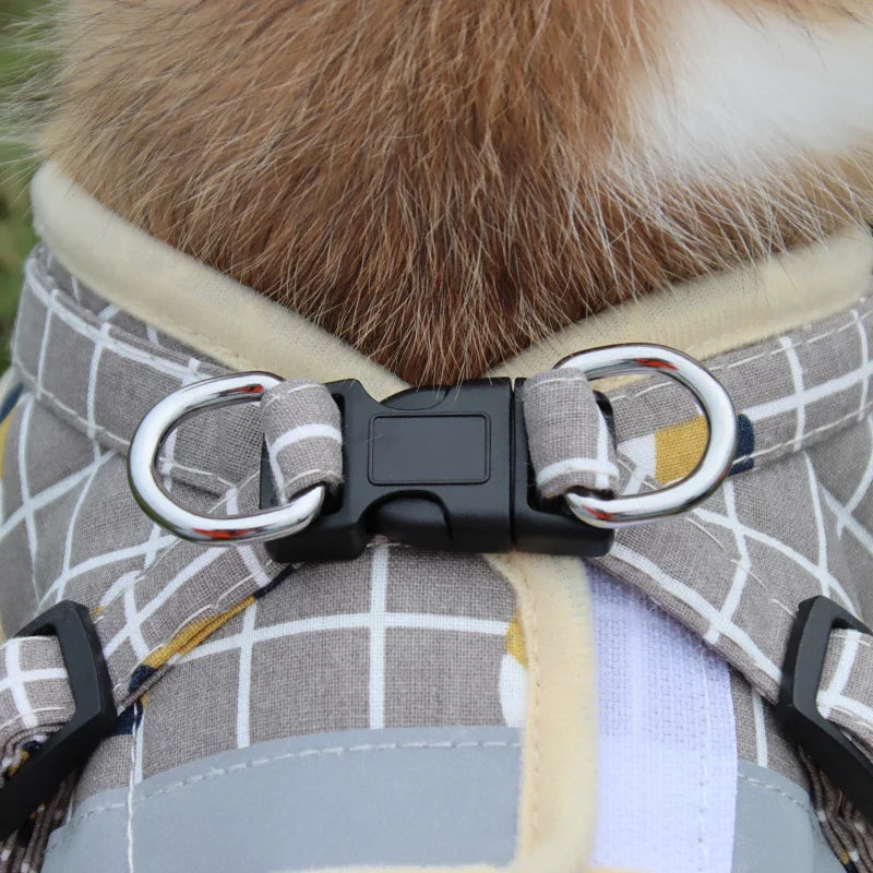 Anton Sicheres Hundegeschirr für Nachts