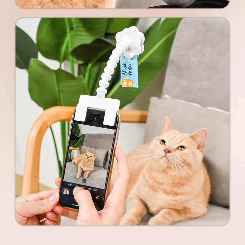 Posy Telefonhalter für Fotografie