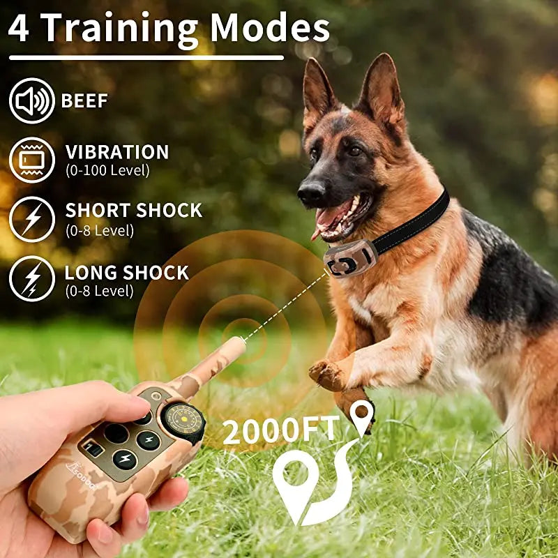 Ace Trainingshalsband für effektives Hundetraining auf Distanz
