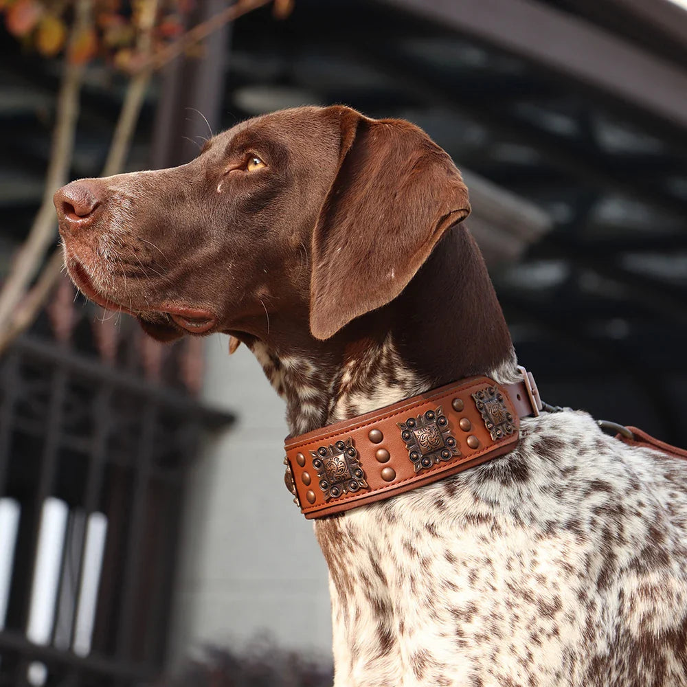 Lothar Strapazierfähiges Leder Hundehalsband