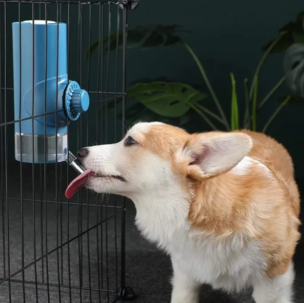Gina | Haustier-Trinkflasche mit Wasserabgabefunktion-Für Hunde und Katzen