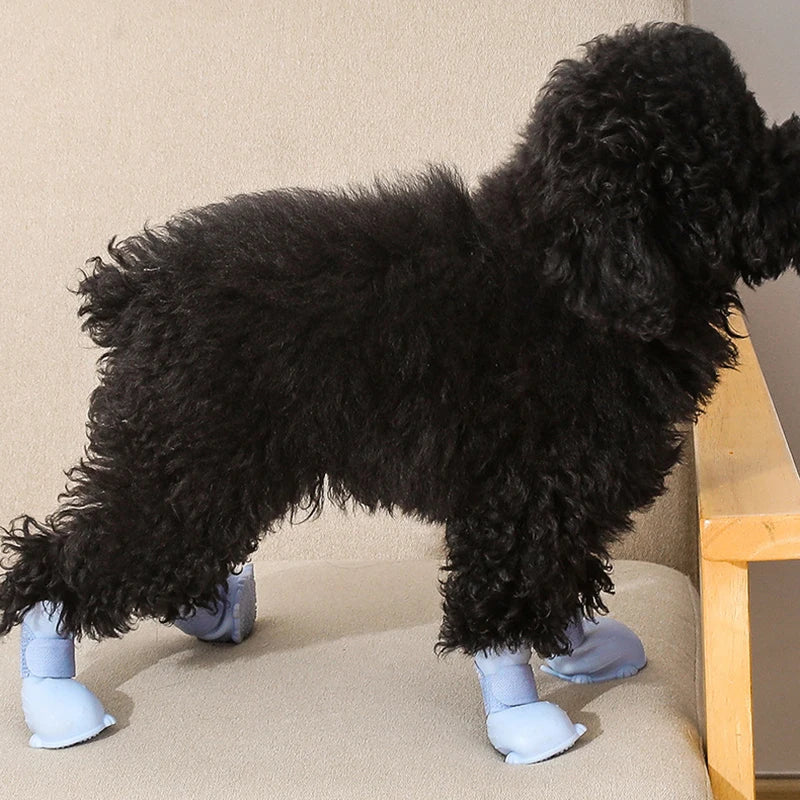 Phylo | Hundeschuhe mit strukturierten Sohlen und verstellbaren Riemen