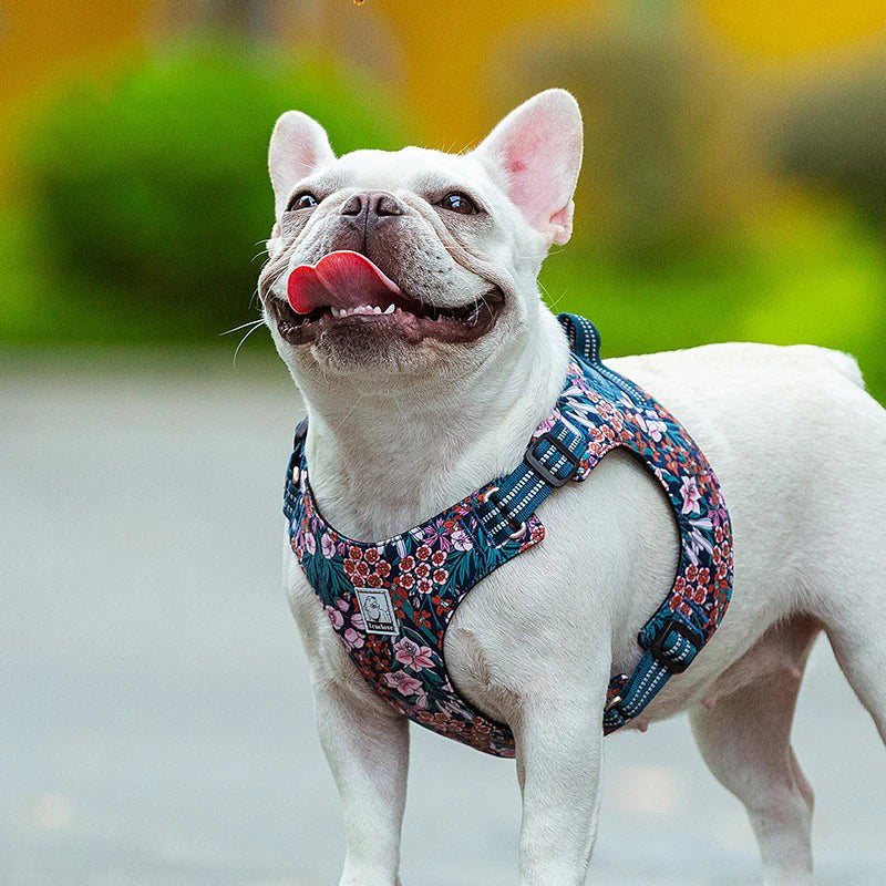 Theresa Verstellbares Hundegeschirr mit Blumenmuster