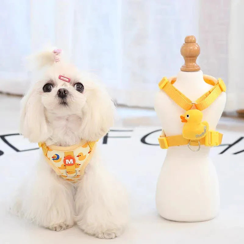 Jörn Nylon Hundegeschirr Set mit Entenmuster
