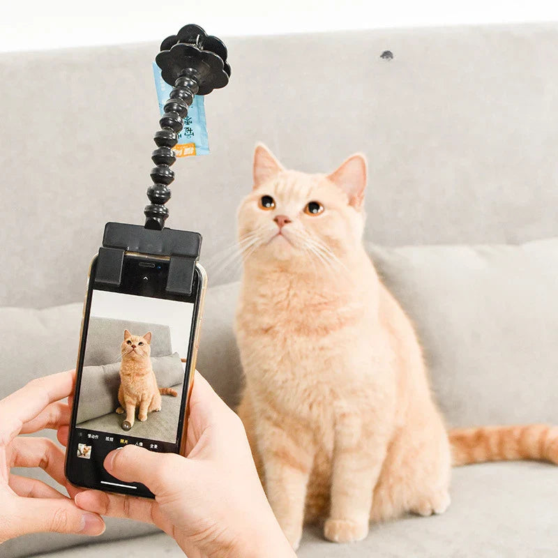 Posy Telefonhalter für Fotografie