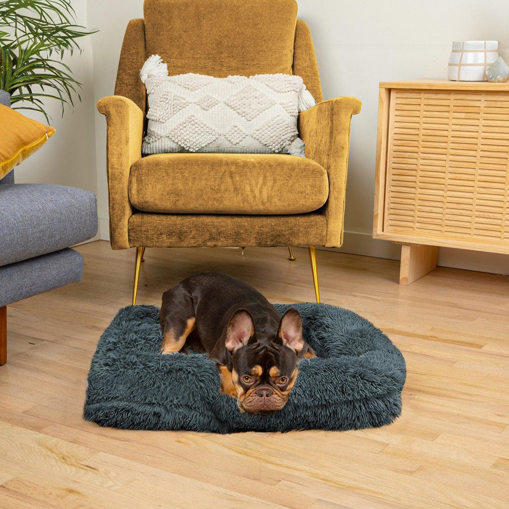 Lambert Komfort Schlafbett Hunde