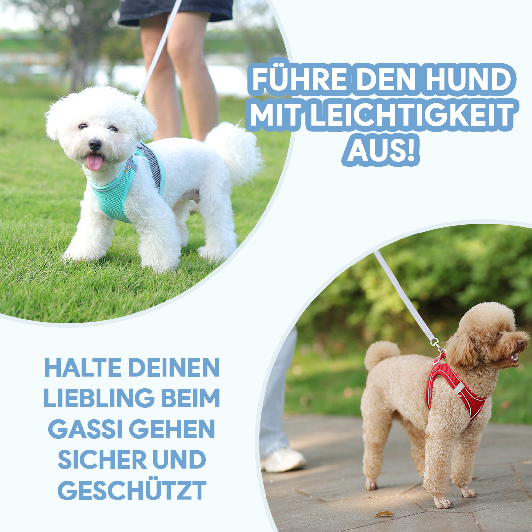 Gail | Welpengeschirr mit reduzierter Zugkraft - Verstellbar & leicht tragbar