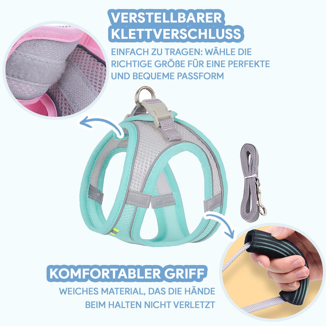 Gail | Welpengeschirr mit reduzierter Zugkraft - Verstellbar & leicht tragbar