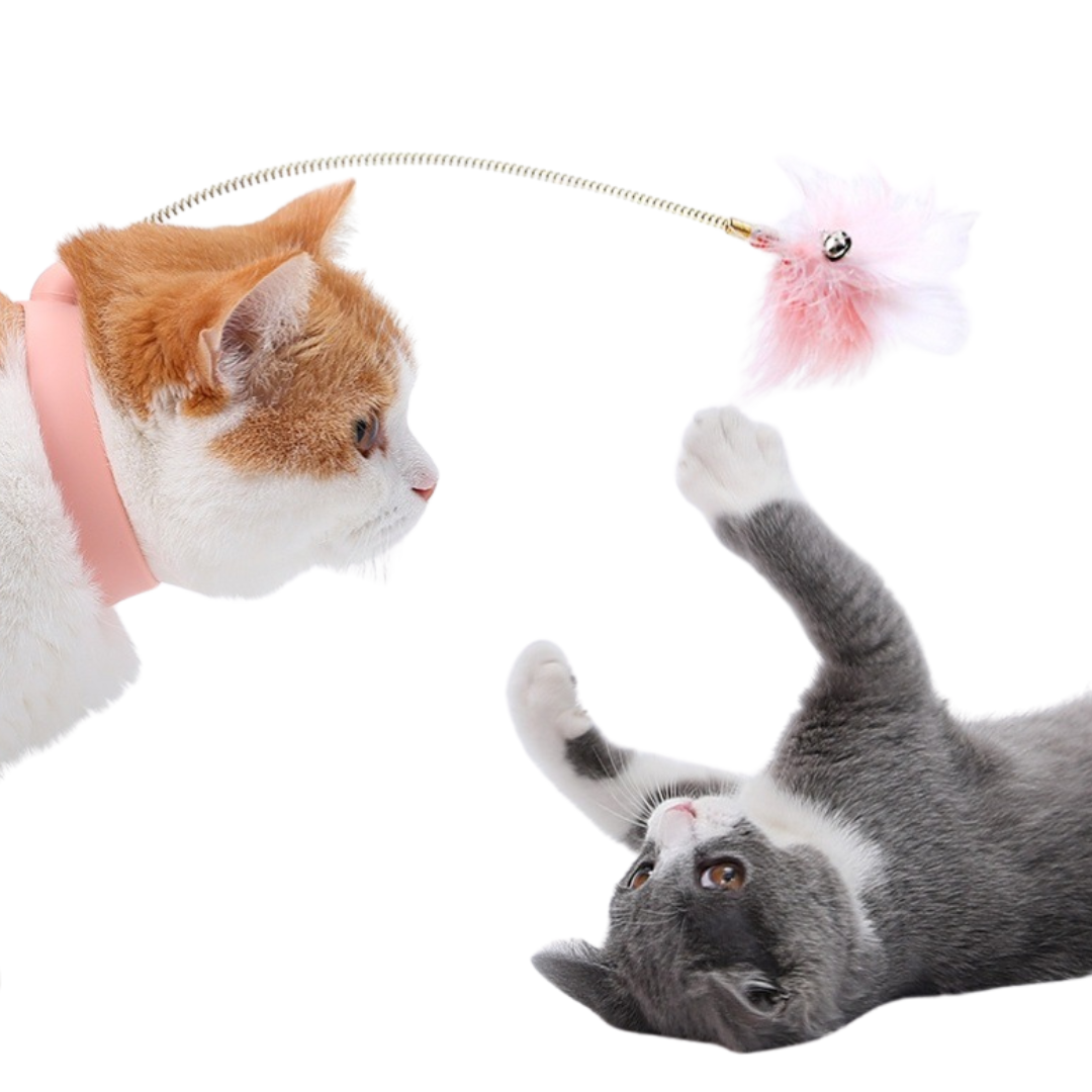 Sophie Interaktives Spiel Halsband für Katzen